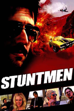 Stuntmen 2009 Hindi Dual Audio 300MB